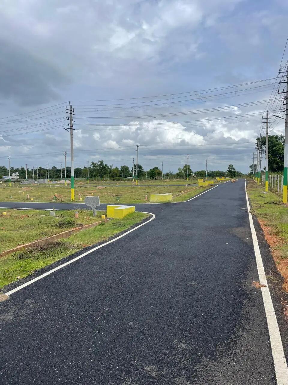 Heritage City Tree Plantation and Corner Plots